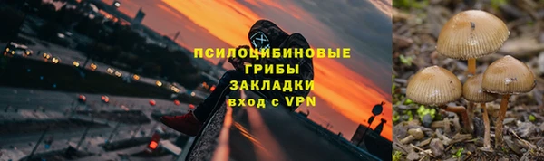 spice Абаза