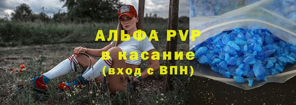 эйфоретик Ельня